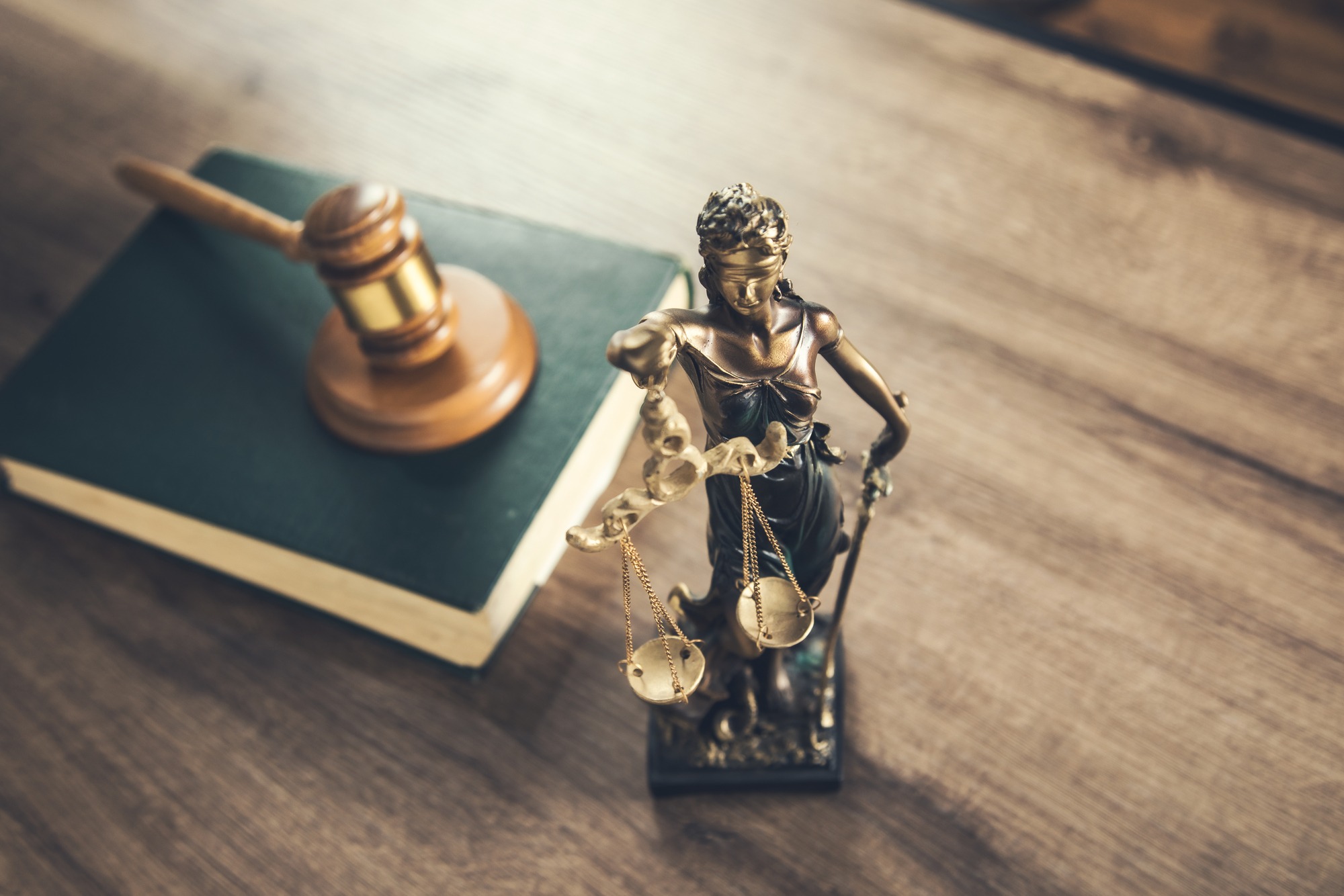 Wooden judge on book